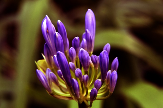 杜兰特缺席 杜兰特缺席