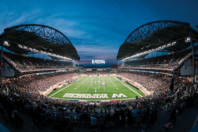 切尔西有着 切尔西有着