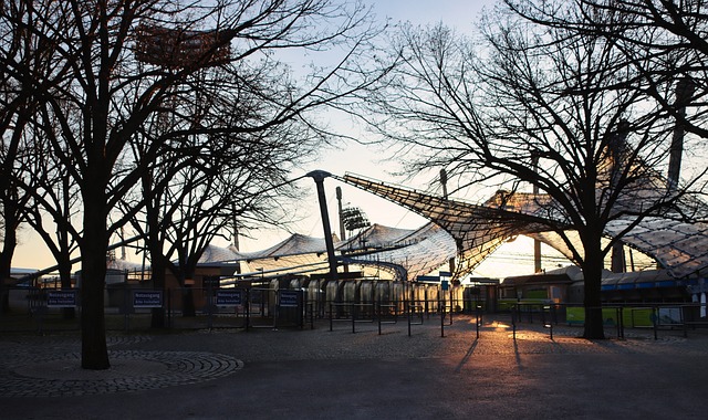 这场比赛无 这场比赛无