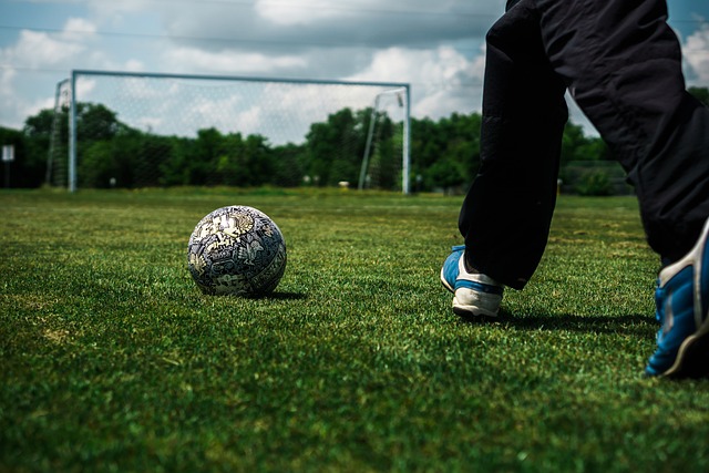 而谢波德的 而谢波德的