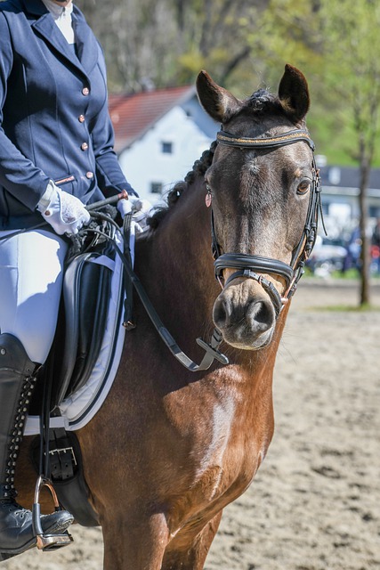 他的到来可 他的到来可