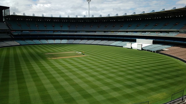 赵睿的未来 赵睿的未来