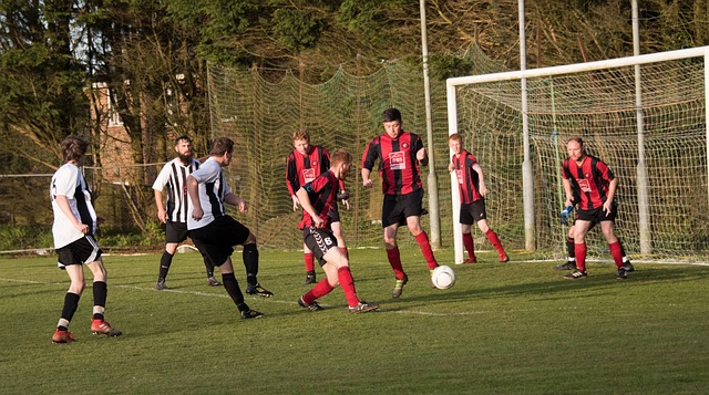 核心球员孙 核心球员孙