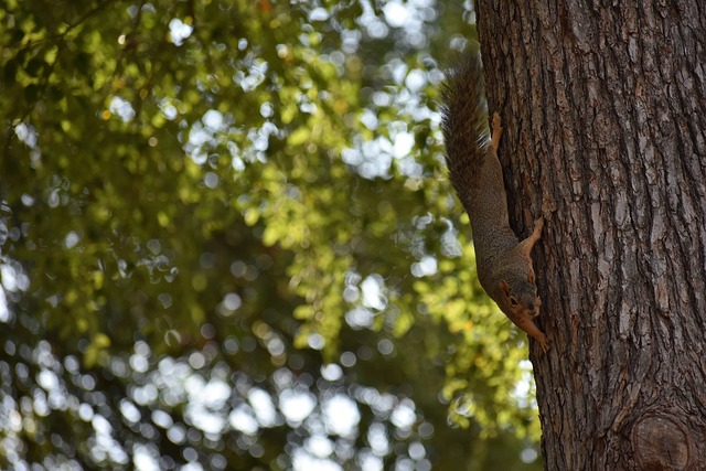 现代篮球胜 现代篮球胜