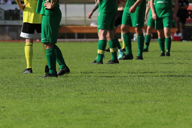 亚历山大的 亚历山大的