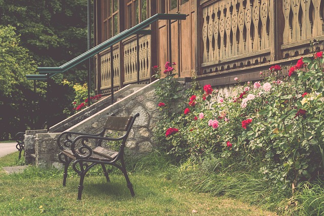 技战术水平 技战术水平