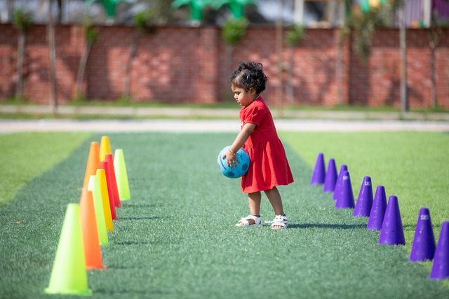 一个关键舆 一个关键舆