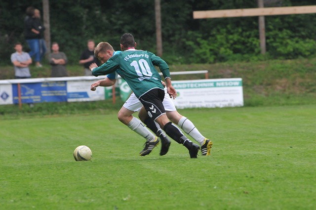 个健康的体 个健康的体