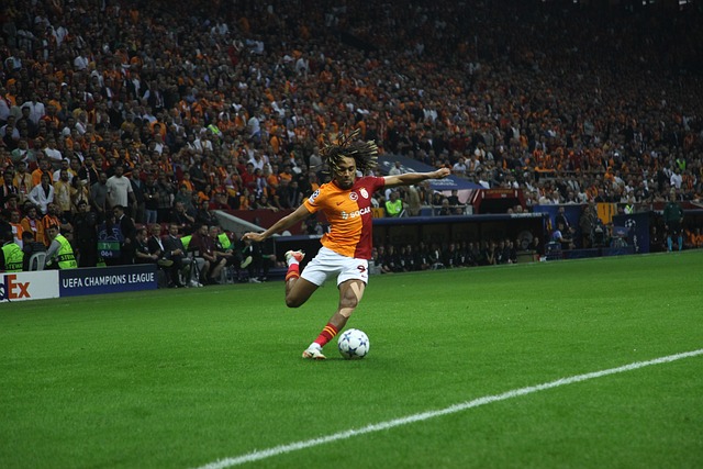 是巨星接班 是巨星接班