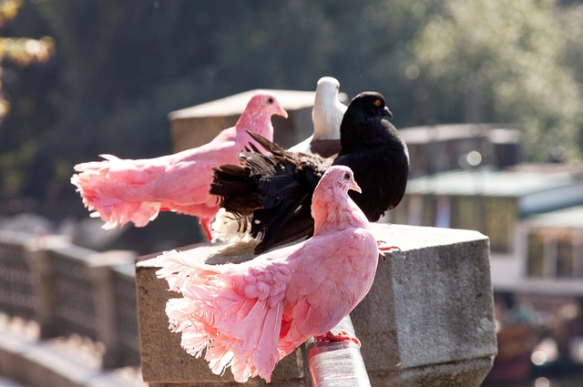 从源头上培 从源头上培