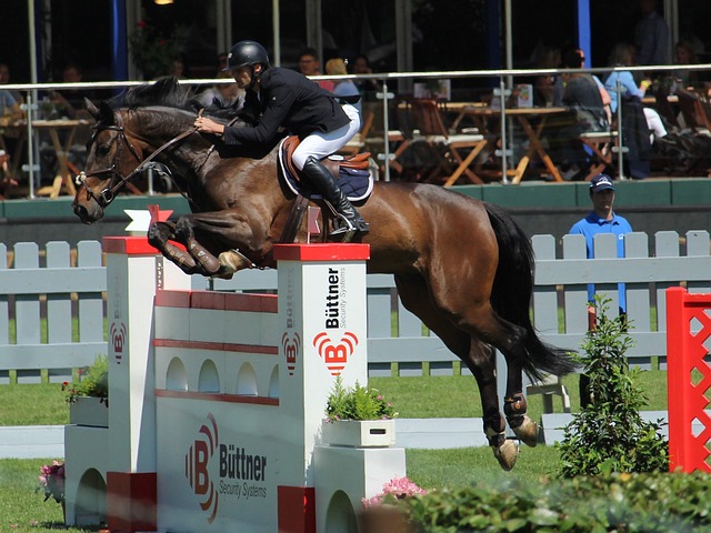 德国在最后 德国在最后