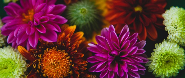 逆袭成功 逆袭成功