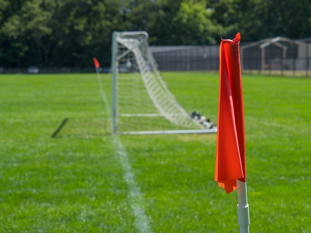 殷若宁和刘 殷若宁和刘