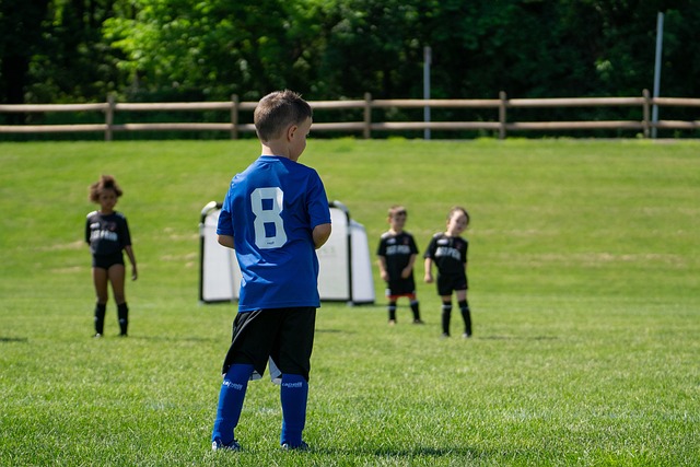 不如说他是 不如说他是