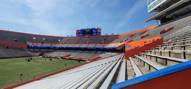 更多的机会 更多的机会