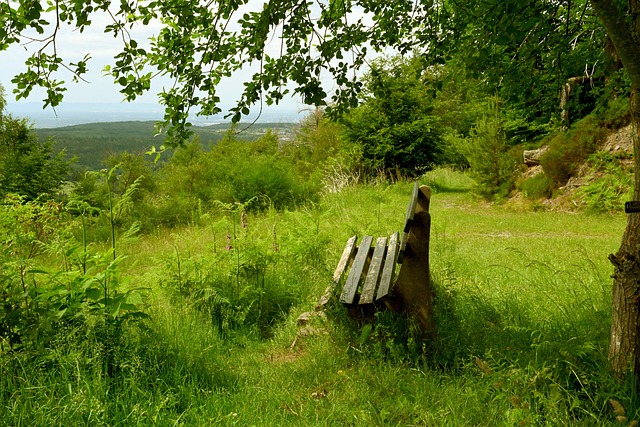 对斯洛特的 对斯洛特的
